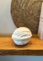 IMG_2372.jpeg