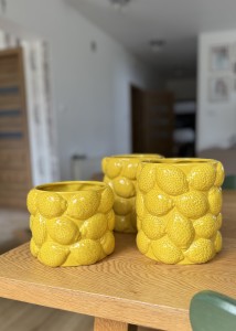 OSŁONA DONICZKA CYTRYNY  MAXI