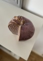 IMG_5186.jpeg