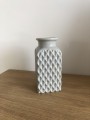 IMG_4918.JPG